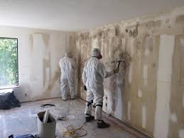 Best Industrial Mold Remediation  in Ke Charles, LA